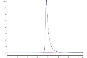 The purity of Mouse EPHA2 is greater than 95 % as determined by SEC-HPLC. (EPH Receptor A2 Protein (EPHA2) (AA 26-538) (His tag))