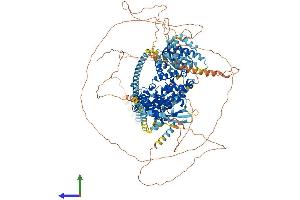 AlphaFold protein structure predicition of Mouse Recombinant Tbc1d4 Protein, UniprotID Q8BYJ6