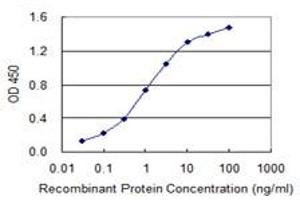 Detection limit for recombinant GST tagged ABLIM1 is 0. (ABLIM1 antibody  (AA 637-736))