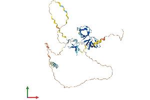 AlphaFold protein structure predicition of Human Recombinant STAC2 Protein, UniprotID Q6ZMT1 (STAC2 Protein (AA 1-411) (His tag))