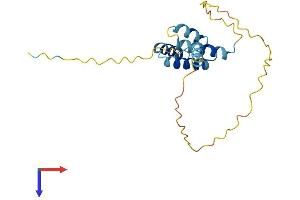 AlphaFold protein structure predicition of Human Recombinant CT45A3 Protein, UniprotID Q8NHU0 (CT45A3 Protein (AA 1-189) (His tag))