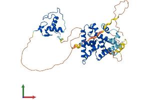 Protein Structure (PS) image for Nuclear Receptor Subfamily 2, Group F, Member 2 (NR2F2) (AA 1-414) protein (His tag) (ABIN7546759)