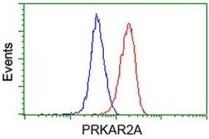 Image no. 2 for anti-Protein Kinase, CAMP-Dependent, Regulatory, Type II, alpha (PRKAR2A) antibody (ABIN1500254) (PRKAR2A antibody)