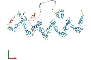 Protein Structure (PS) image for Zinc Finger Protein 425 (ZNF425) (AA 1-752) protein (His tag) (ABIN7545464)
