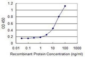 Neuronatin (NNAT) (AA 22-81) antibody