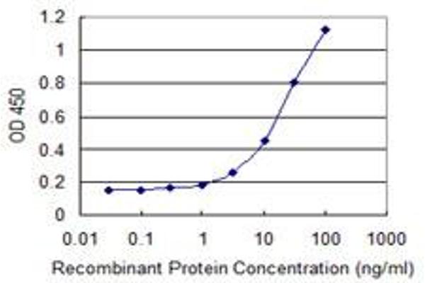 Neuronatin (NNAT) (AA 22-81) antibody