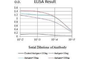Black line: Control Antigen (100 ng),Purple line: Antigen (10 ng), Blue line: Antigen (50 ng), Red line:Antigen (100 ng) (FLI1 antibody  (AA 303-452))
