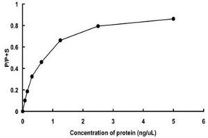 DAP Kinase 1 Protein (AA 1-289) (His tag)