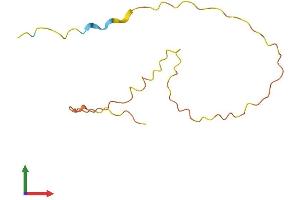 AlphaFold protein structure predicition of Human Recombinant LCE2C Protein, UniprotID Q5TA81 (LCE2C Protein (AA 1-110) (His tag))
