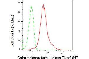 Flow cytometric analysis of Galactosidase beta 1 expression in HepG2 cells using Galactosidase beta 1 antibody (ABIN7798684), 1:2,000). (Recombinant GLB1 antibody)