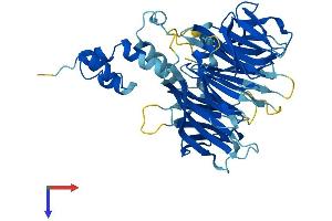 F-Box and WD Repeat Domain Containing 12 (FBXW12) (AA 1-464) protein (His tag)