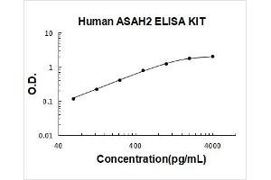 N-Acylsphingosine Amidohydrolase (Non-Lysosomal Ceramidase) 2 (ASAH2) ELISA Kit