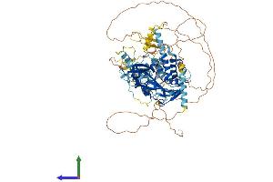AlphaFold protein structure predicition of Human Recombinant USP16 Protein, UniprotID Q9Y5T5 (USP16 Protein (AA 1-823) (His tag))