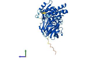 AlphaFold protein structure predicition of Human Recombinant CLP1 Protein, UniprotID Q92989 (CLP1 Protein (AA 1-425) (His tag))
