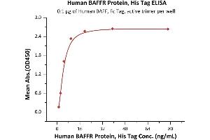 Immobilized Human BAFF, Fc Tag, active trimer (ABIN6972950) at 1 μg/mL (100 μL/well) can bind Human BAFFR Protein, His Tag (ABIN6972953) with a linear range of 1-10 ng/mL (QC tested). (TNFRSF13C Protein (AA 7-71) (His tag))