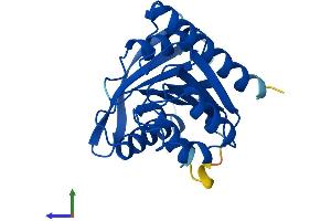 AlphaFold protein structure predicition of Mouse Recombinant Tex30 Protein, UniprotID Q3TUU5