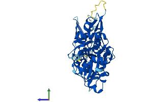 Protein Structure (PS) image for Actin-Related Protein T2 (ACTRT2) (AA 1-377) protein (His tag) (ABIN7551924)