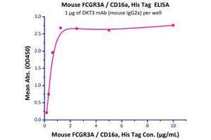 Immobilized OKT3 mAb (mouse IgG2a) at 10 μg/mL (100 μl/well) can bind Mouse FCGR3A / CD16a, His Tag (Cat# CDA-M52H8) with a linear range of 0. (FCGR3A Protein (AA 32-215) (His tag))