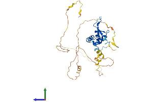 AlphaFold protein structure predicition of Mouse Recombinant Foxi2 Protein, UniprotID Q3I5G5