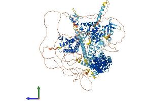 Protein Structure (PS) image for Bromodomain Adjacent To Zinc Finger Domain, 1B (BAZ1B) (AA 1-1479) protein (His tag) (ABIN7565291)