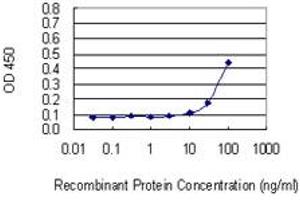 Detection limit for recombinant GST tagged RAPGEF3 is 10 ng/ml as a capture antibody. (RAPGEF3 antibody  (AA 772-881))
