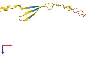 Endogenous Retrovirus Group K, Member 5 (ERVK-5) (AA 1-75) protein (Fc Tag)