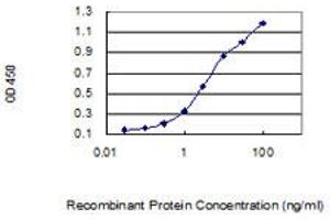 Detection limit for recombinant GST tagged BCAS4 is 0. (BCAS4 antibody  (AA 1-173))