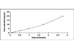 Typical standard curve (FCGR3B ELISA Kit)