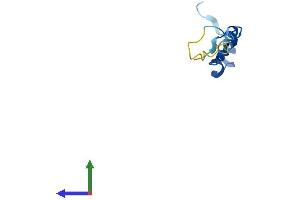 AlphaFold protein structure predicition of Mouse Recombinant Anapc13 Protein, UniprotID Q8R034