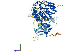 Protein Structure (PS) image for General Transcription Factor IIH, Polypeptide 2, 44kDa (GTF2H2) (AA 1-395) protein (His tag) (ABIN7544342)