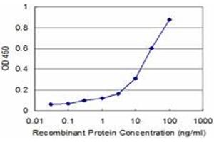 Detection limit for recombinant GST tagged CCNK is approximately 0. (Cyclin K antibody  (AA 1-354))