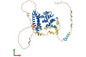 AlphaFold protein structure predicition of Human Recombinant TOM1 Protein, UniprotID O60784 (TOM1 Protein (AA 1-492) (His tag))
