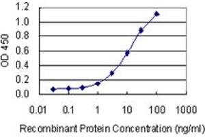 Detection limit for recombinant GST tagged KCNK1 is 0. (KCNK1 antibody  (AA 265-336))