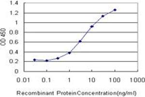 Detection limit for recombinant GST tagged CHST3 is approximately 0. (CHST3 antibody  (AA 312-411))