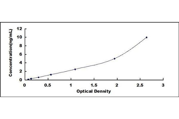 NOTCH4 ELISA Kit