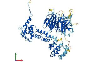 AlphaFold protein structure predicition of Human Recombinant KLHL30 Protein, UniprotID Q0D2K2