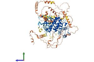 AlphaFold protein structure predicition of Mouse Recombinant Mapk6 Protein, UniprotID Q61532