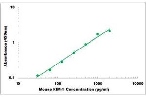 Representative Standard Curve