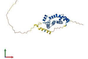 AlphaFold protein structure predicition of Human Recombinant RGS19 Protein, UniprotID P49795 (RGS19 Protein (AA 1-217) (His tag))