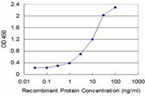 Detection limit for recombinant GST tagged IFNGR2 is approximately 0. (IFNGR2 antibody  (AA 28-127))