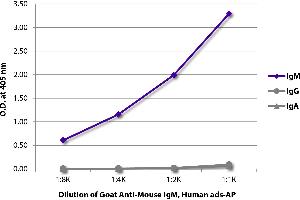ELISA plate was coated with purified mouse IgM, IgG, and IgA. (Goat anti-Mouse IgM (Heavy Chain) Antibody (Alkaline Phosphatase (AP)))