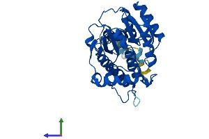 Protein Structure (PS) image for Retinol Dehydrogenase 12 (All-Trans/9-Cis/11-Cis) (RDH12) (AA 1-316) protein (His tag) (ABIN7559019)