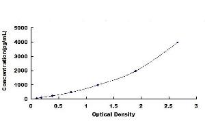 Typical standard curve (ACE2 ELISA Kit)