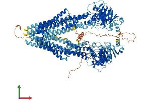 Protein Structure (PS) image for ATP-Binding Cassette, Sub-Family B (MDR/TAP), Member 4 (ABCB4) (AA 1-1276) protein (His tag) (ABIN7562957)