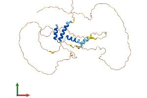 AlphaFold protein structure predicition of Mouse Recombinant Ssbp2 Protein, UniprotID Q9CYZ8 (SSBP2 Protein (AA 1-361) (His tag))