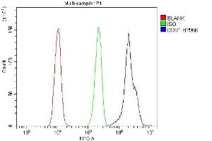 Flow Cytometry analysis of A431 cells using anti-DDR1 antibody (ABIN7601407). (DDR1 antibody  (AA 341-909))