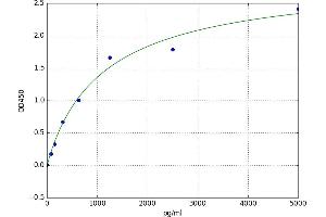 phosphodiesterase 4B, cAMP-Specific (PDE4B) ELISA Kit
