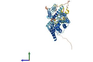 AlphaFold protein structure predicition of Mouse Recombinant Slc38a9 Protein, UniprotID Q8BGD6