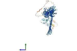 AlphaFold protein structure predicition of Mouse Recombinant Trim2 Protein, UniprotID Q9ESN6 (TRIM2 Protein (AA 1-744) (His tag))
