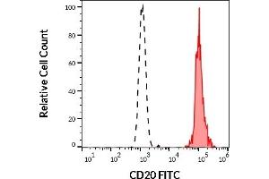 Separation of human CD20 positive lymphocytes (red-filled) from neutrophil granulocytes (black-dashed) in flow cytometry analysis (surface staining) of human peripheral whole blood stained using anti-human CD20 (2H7) FITC antibody (20 μL reagent / 100 μL of peripheral whole blood). (CD20 antibody  (FITC))